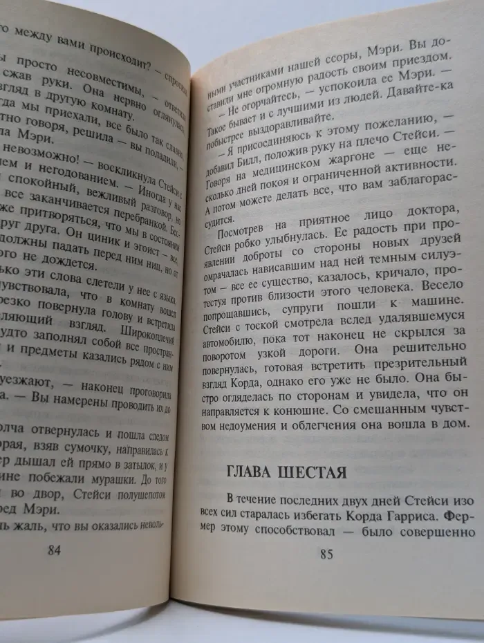 Я все снесу