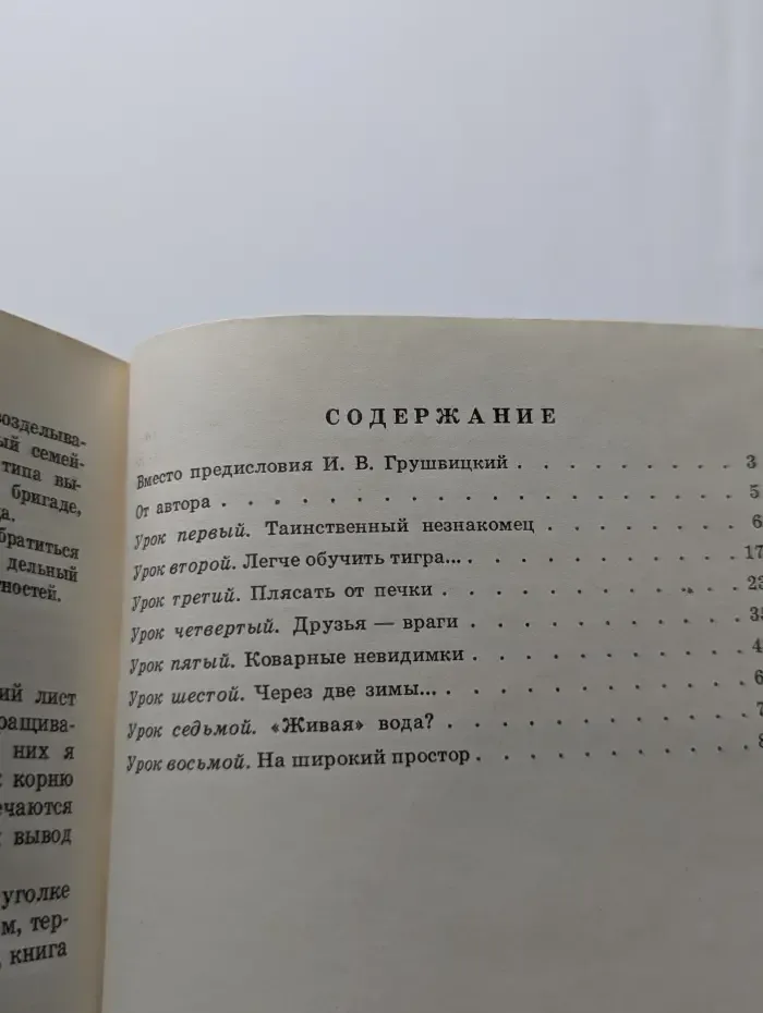 Женьшень на грядке