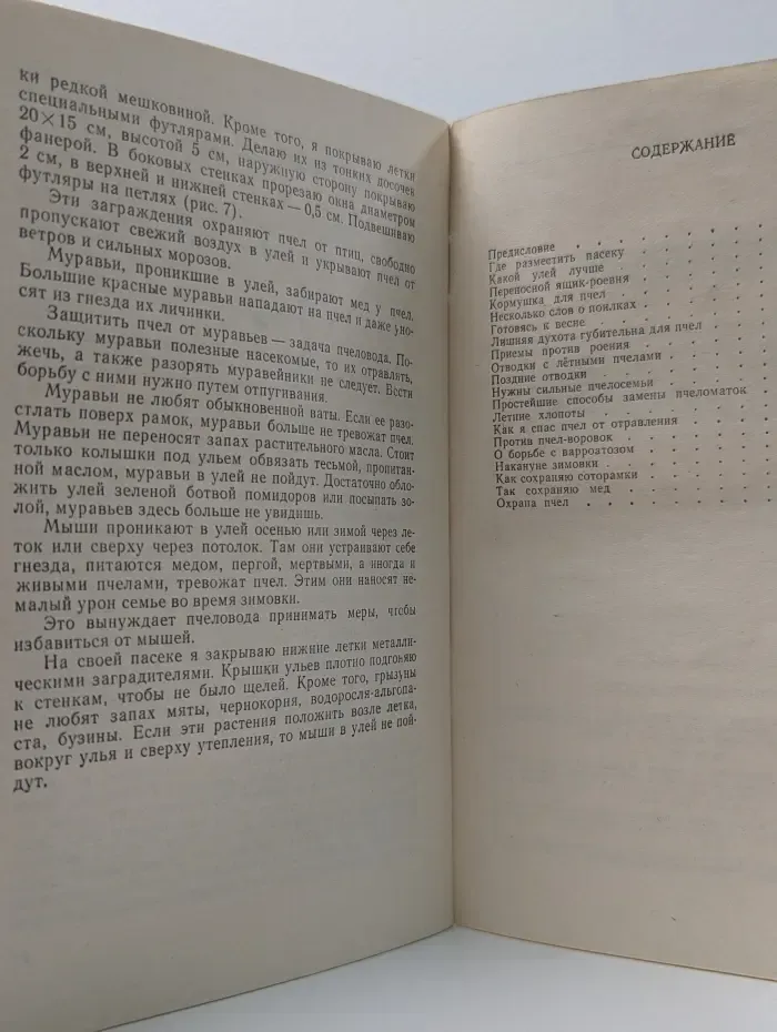 Мой опыт в пчеловодстве