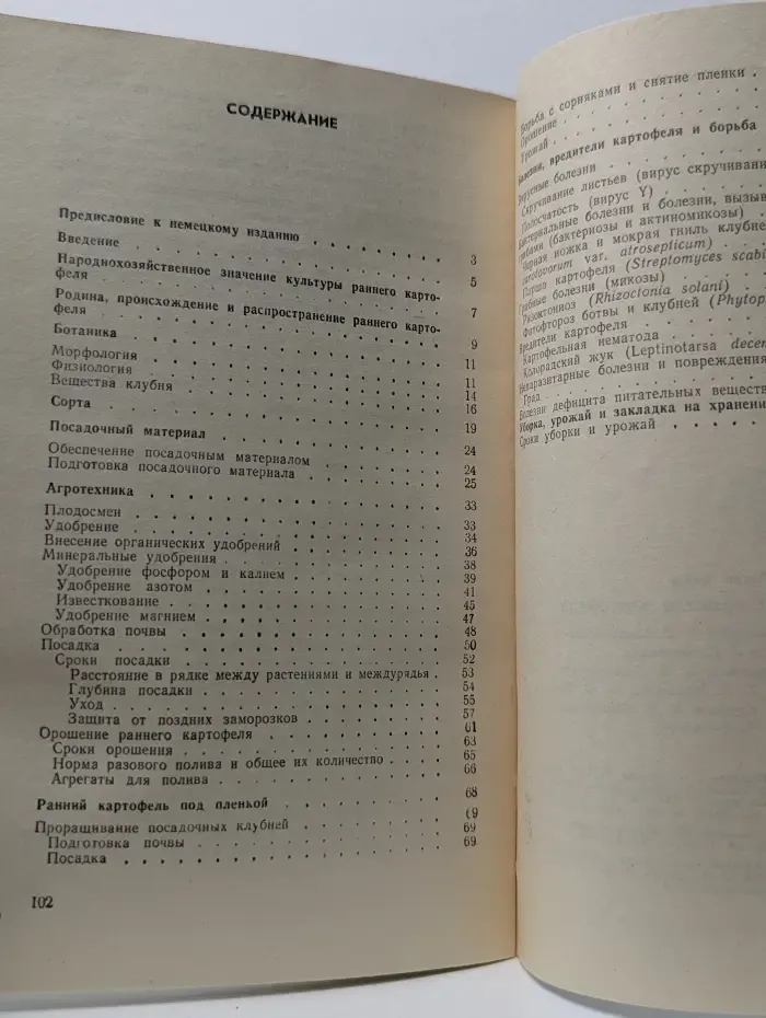 Выращивание раннего картофеля