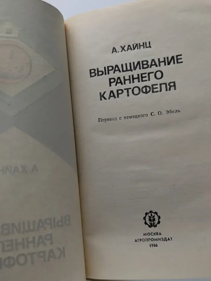 Выращивание раннего картофеля
