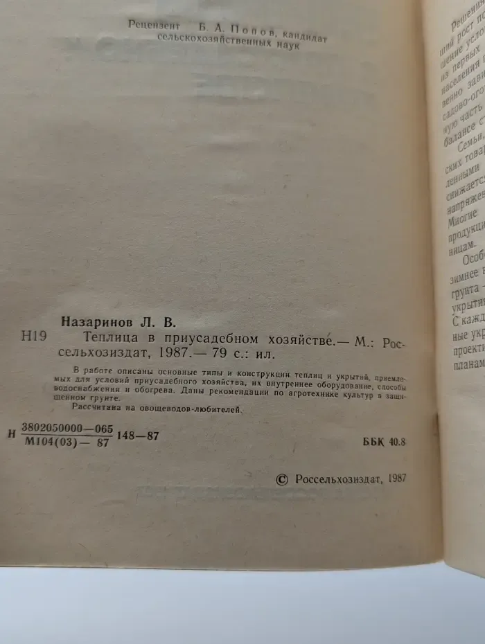 Теплица в приусадебном хозяйстве