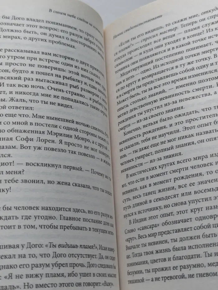 В синем небе следов не остается: Беседы о сущности дзэн
