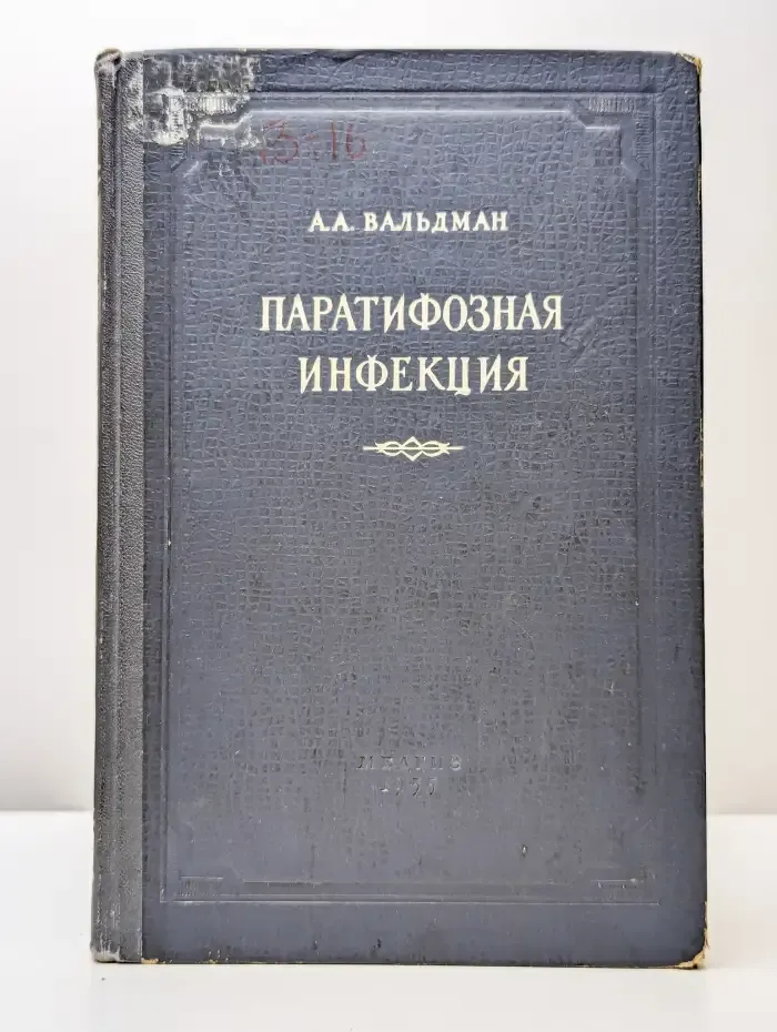 Паратифозная инфекция