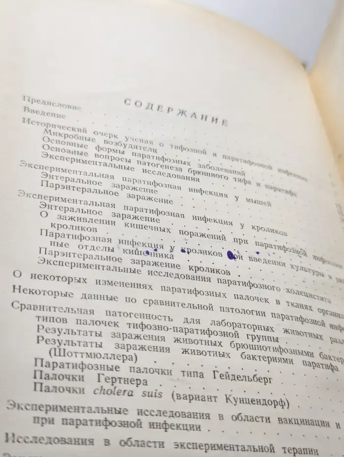 Паратифозная инфекция