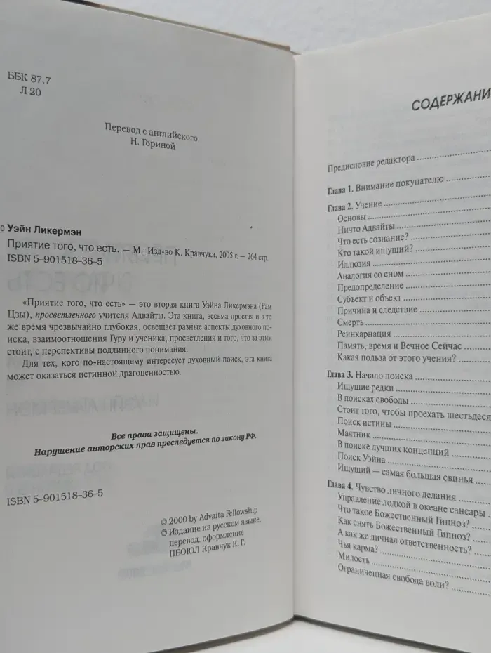 Приятие того, что есть. Книга ни о чем