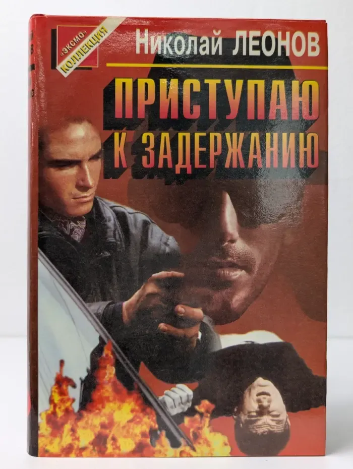 Черная кошка. Приступаю к задержанию