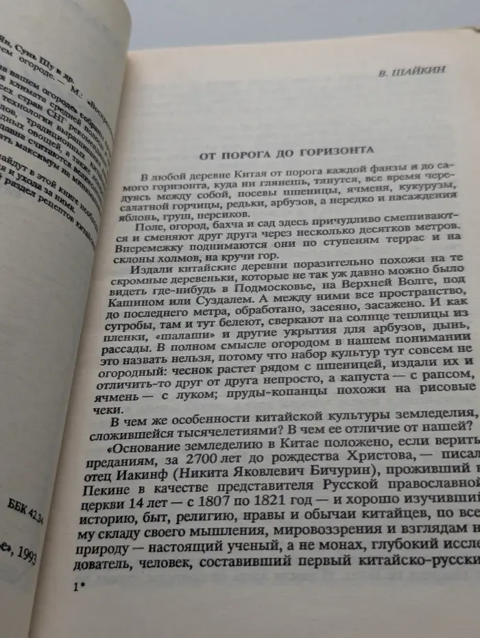 Китайская грядка на вашем огороде