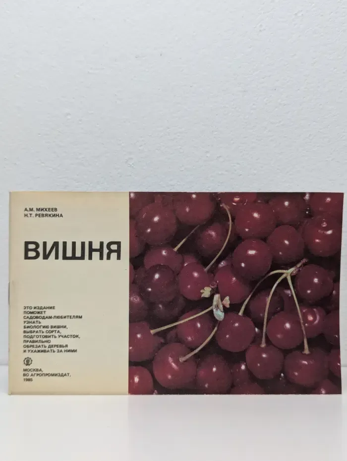 Вишня