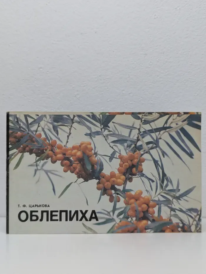 Облепиха