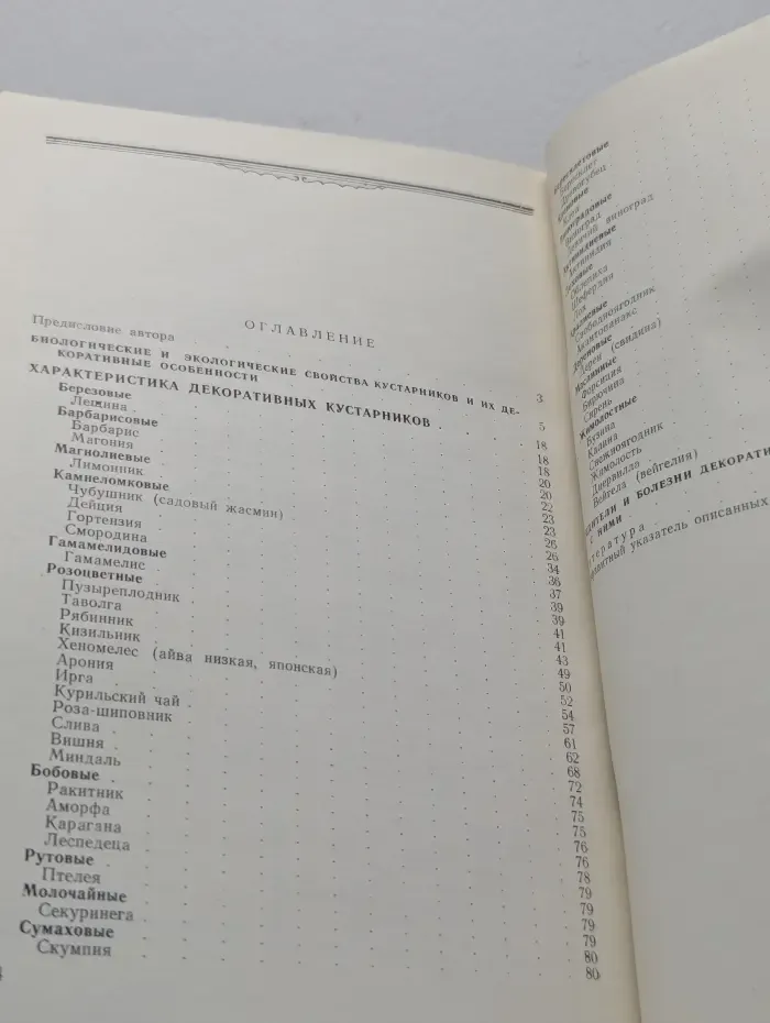 Декоративные кустарники