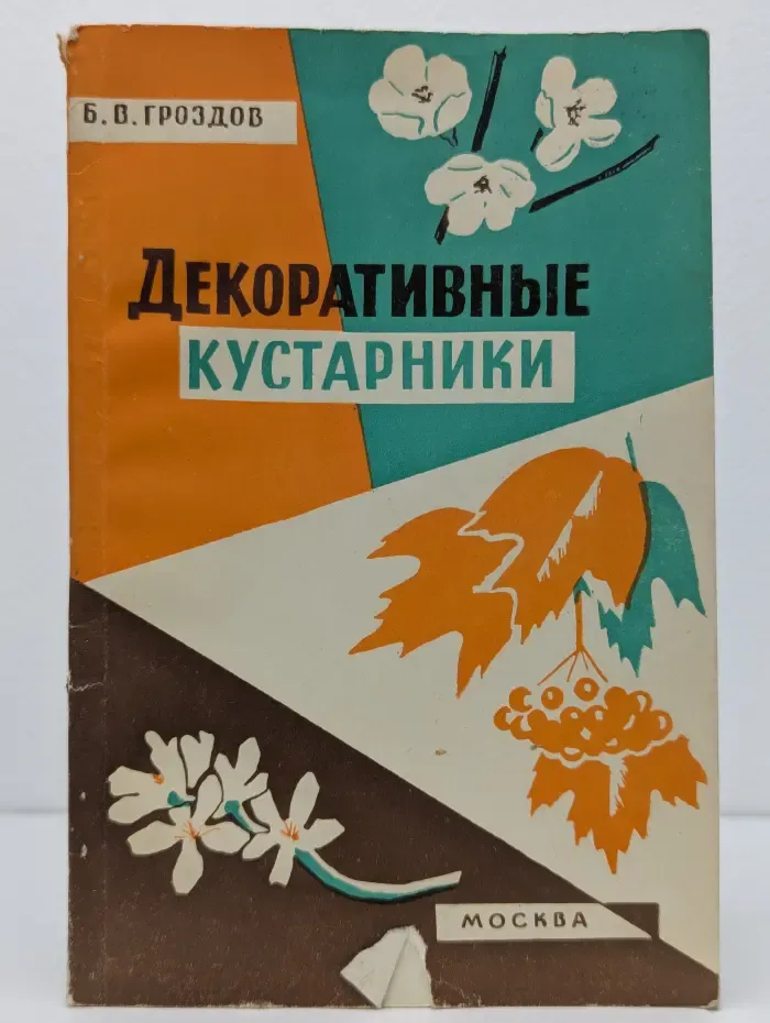 Декоративные кустарники