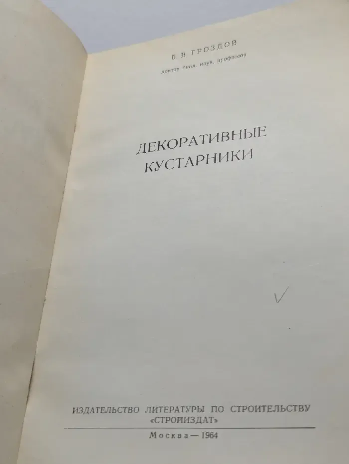 Декоративные кустарники