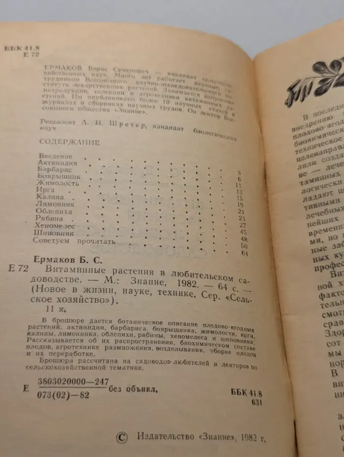 Сельское хозяйство. Витаминные растения в любительском садоводстве