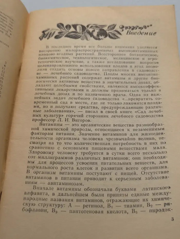 Сельское хозяйство. Витаминные растения в любительском садоводстве