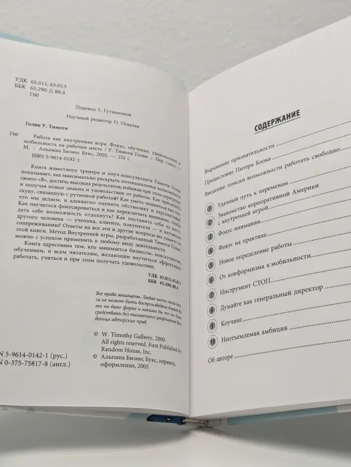 Работа как внутренняя игра