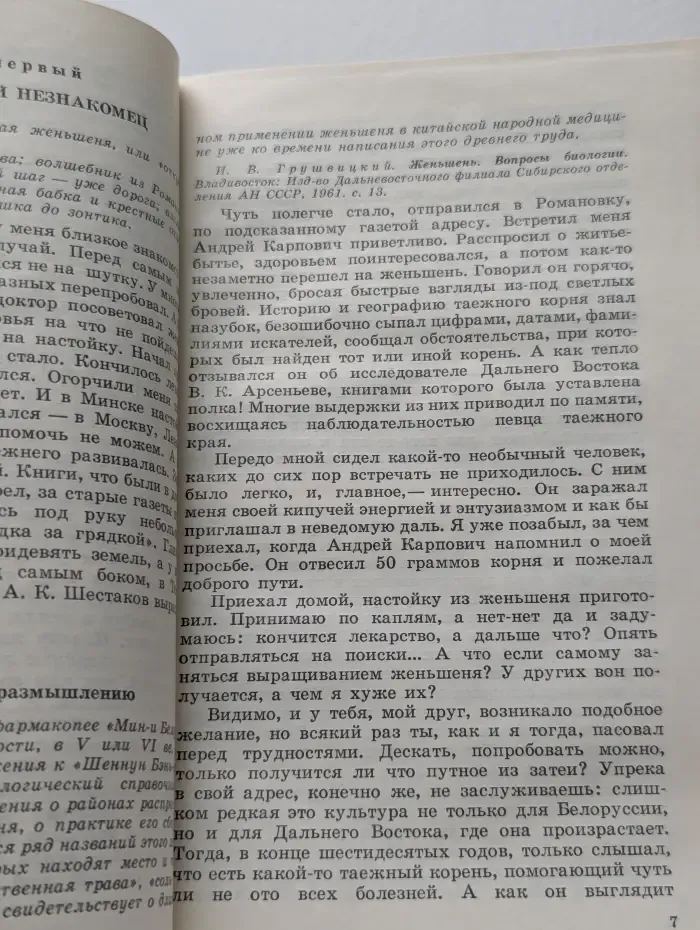 Женьшень на грядке