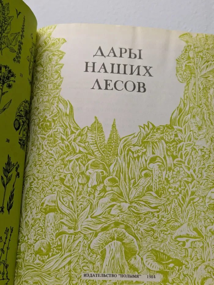 Дары наших лесов