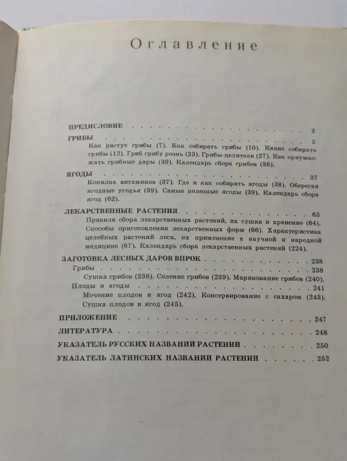 Дары наших лесов