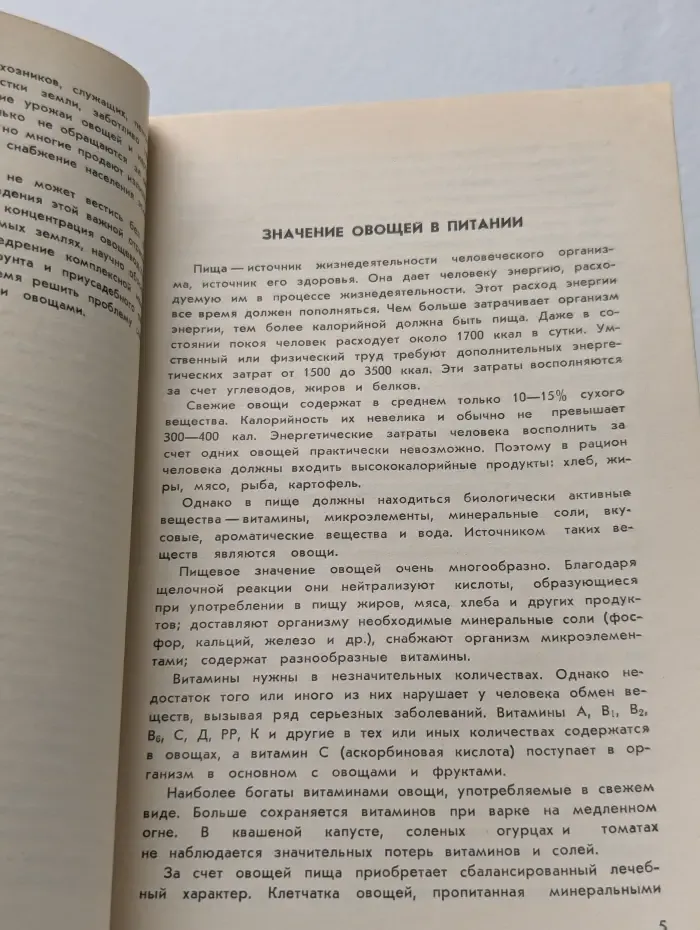 Овощеводство в Татарии