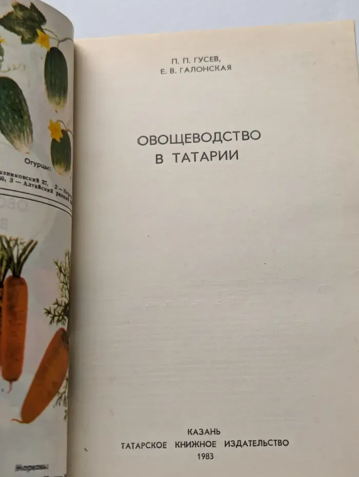Овощеводство в Татарии