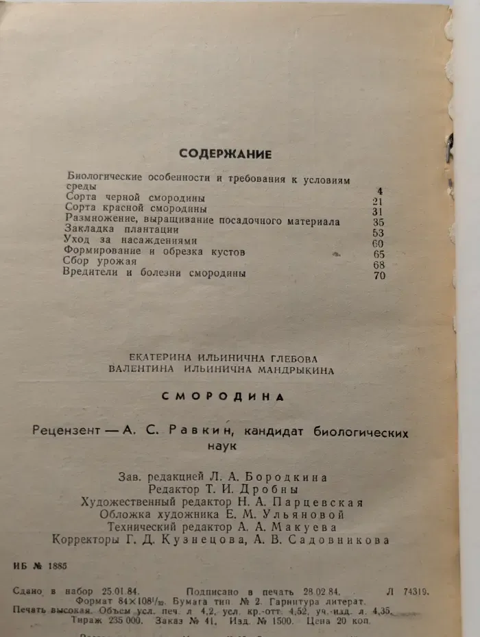 Смородина