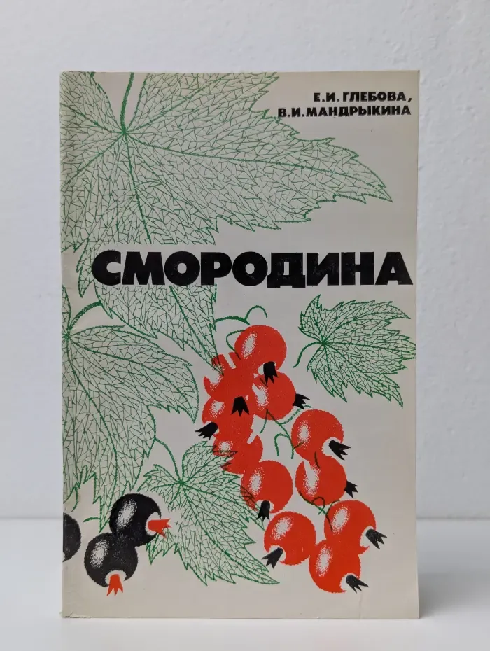 Смородина