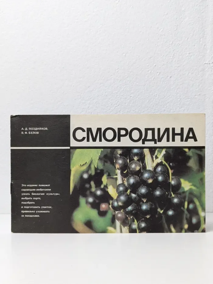 Смородина