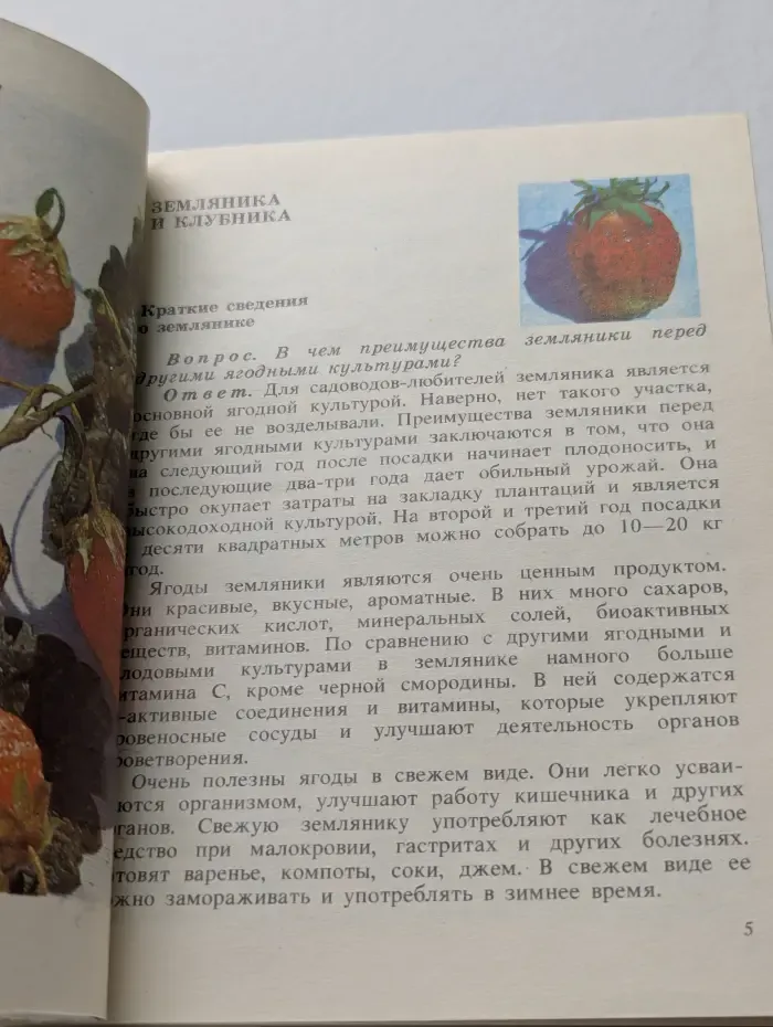 Ягодные культуры