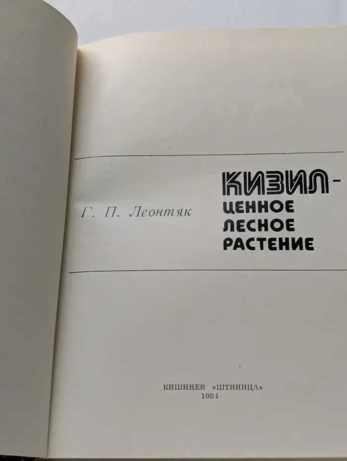 Кизил - ценное лесное растение