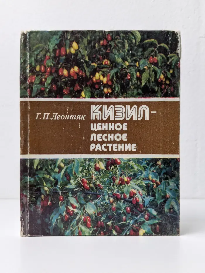 Кизил - ценное лесное растение