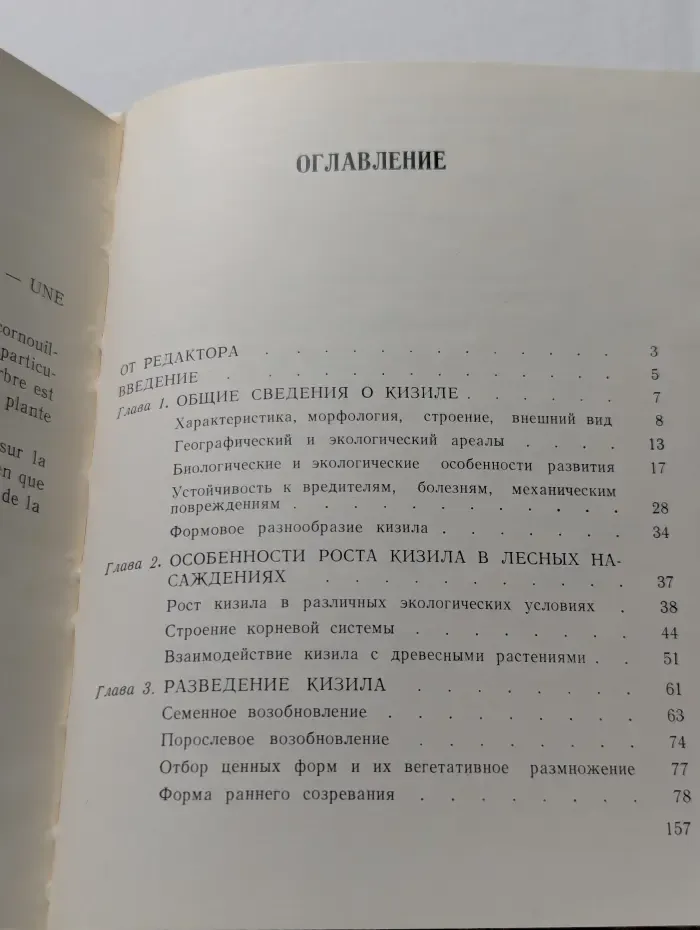 Кизил - ценное лесное растение
