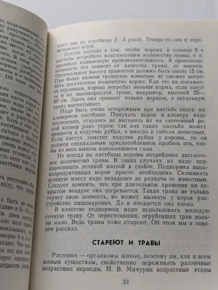 Беседы о кормах