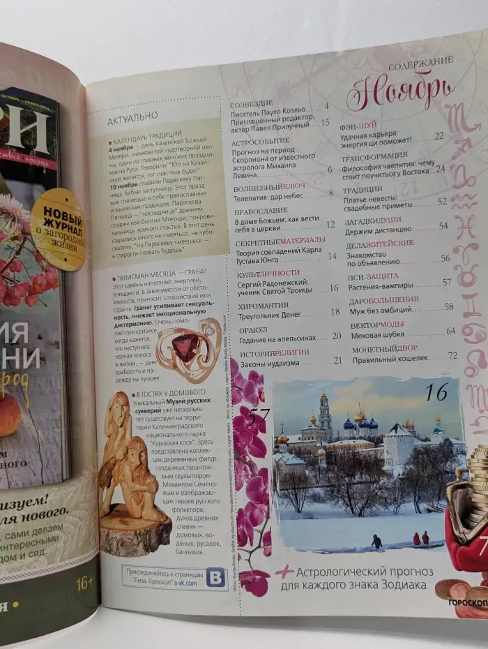 Лиза Гороскоп. Выпуск № 11/2014