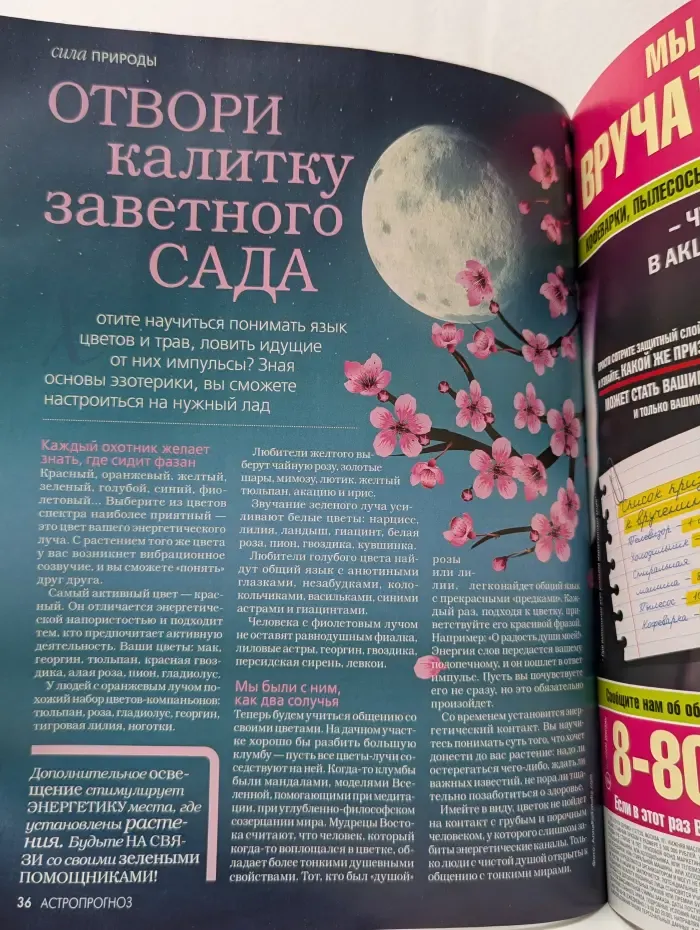 Лиза. Гороскоп. Астропрогноз