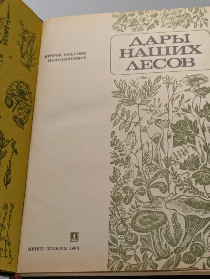 Дары наших лесов