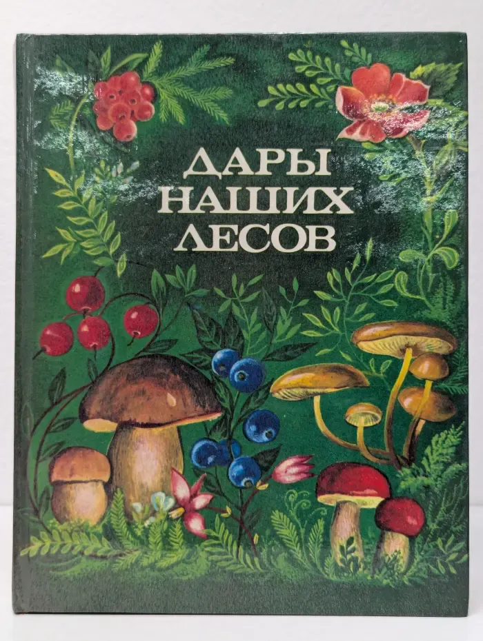 Дары наших лесов