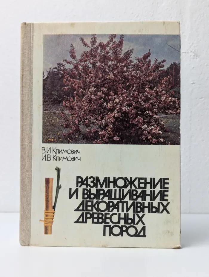 Размножение и выращивание декоративных древесных пород