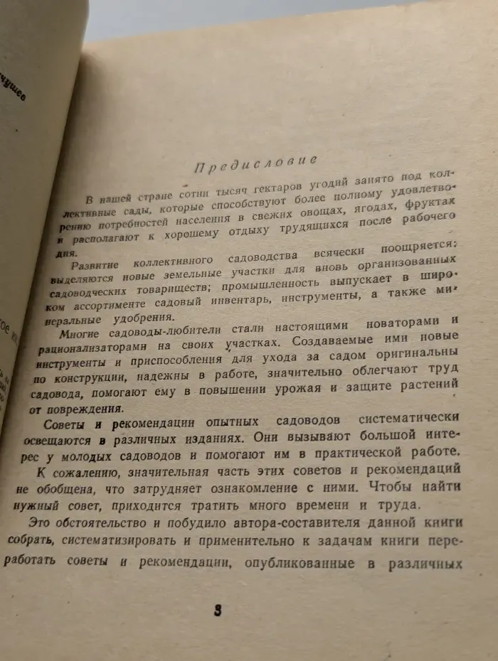 С чего начинается сад