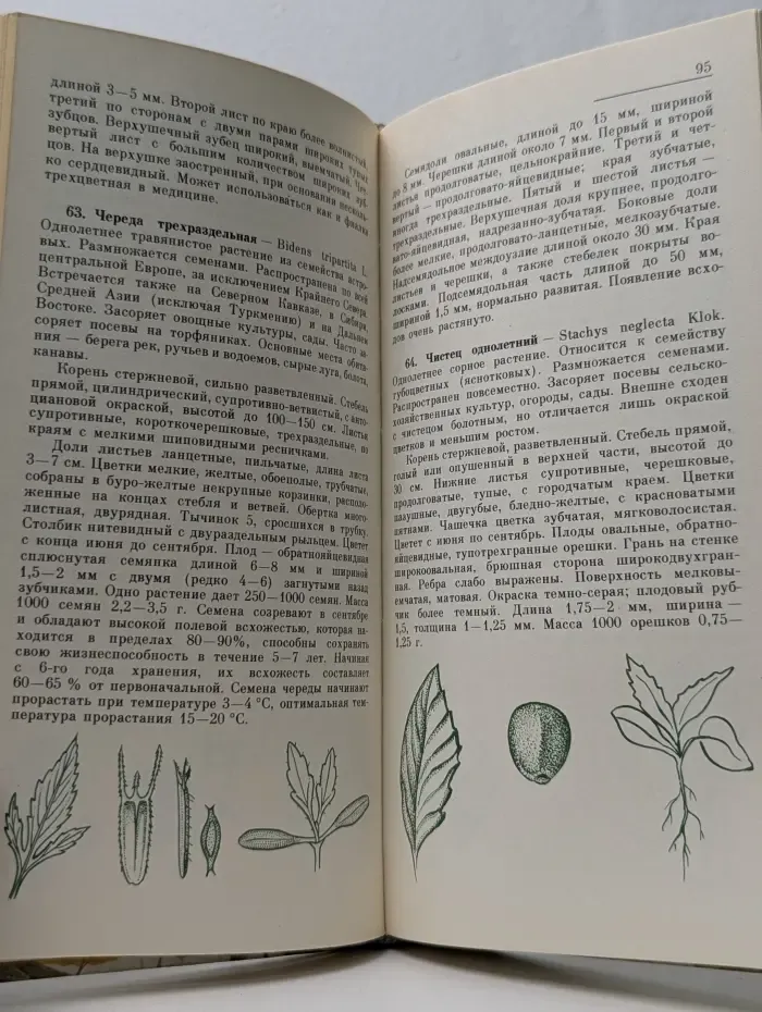 Сорные растения и меры борьбы с ними