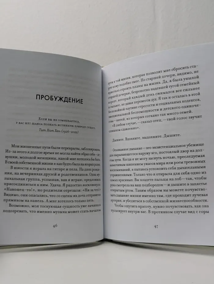 Утешение красотой. Как найти и сберечь прекрасное в своей жизни