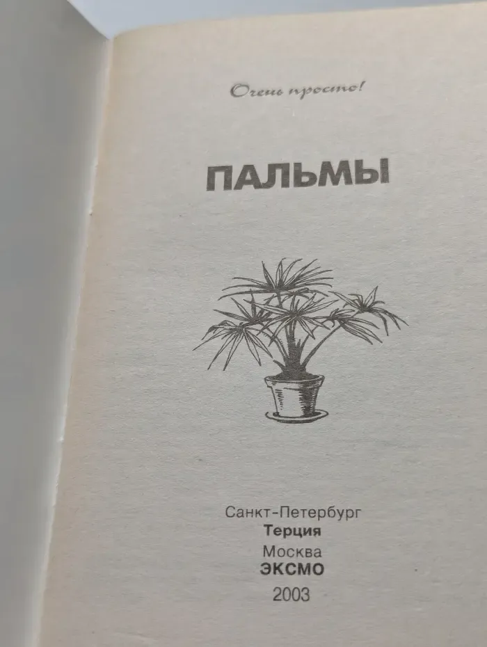 Пальмы