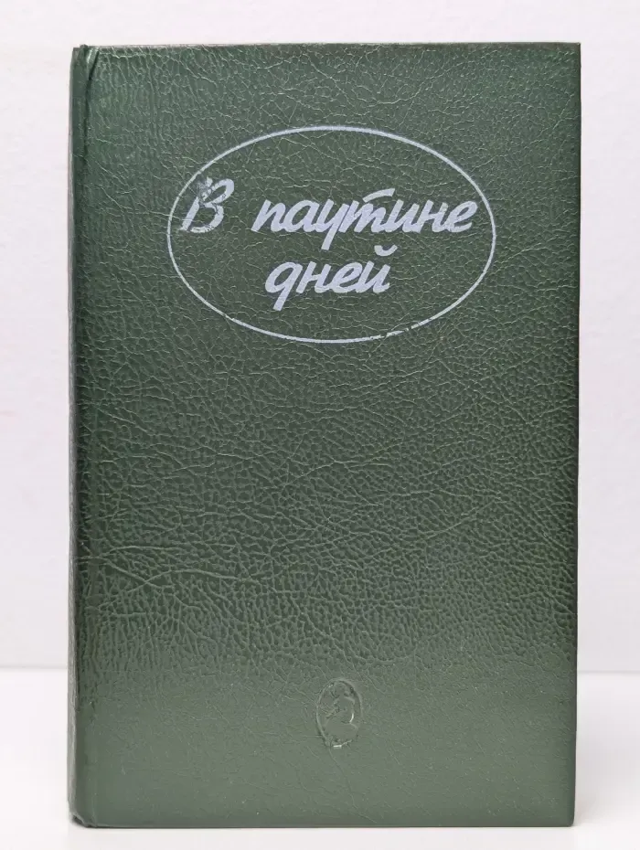 В паутине дней