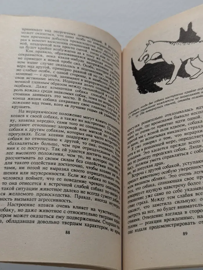 Поведение собак