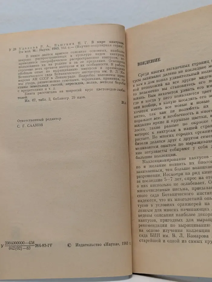 В мире кактусов
