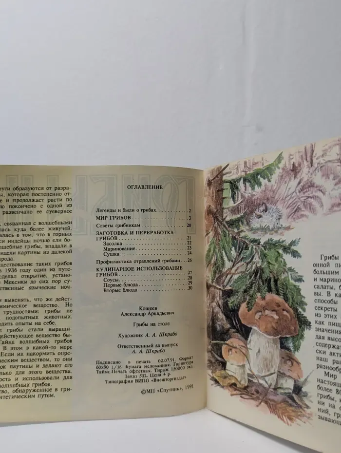 Грибы на столе