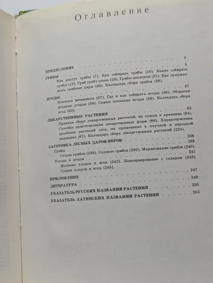 Дары наших лесов