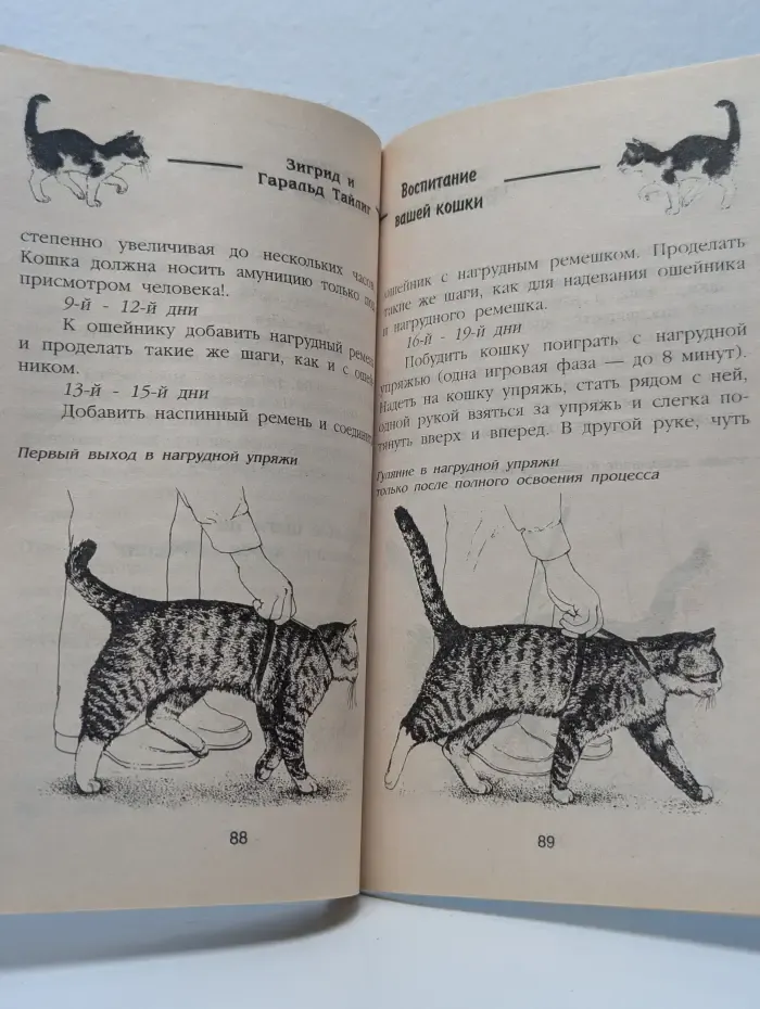Воспитание вашей кошки