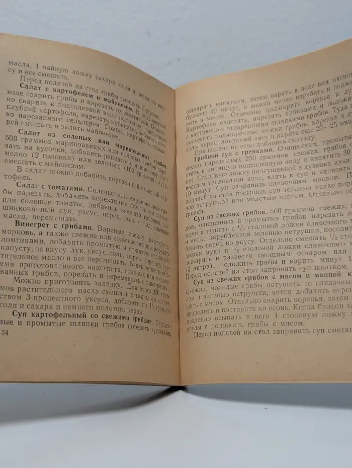 По грибы. Заметки фенолога