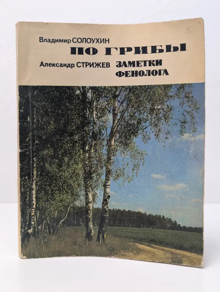 По грибы. Заметки фенолога